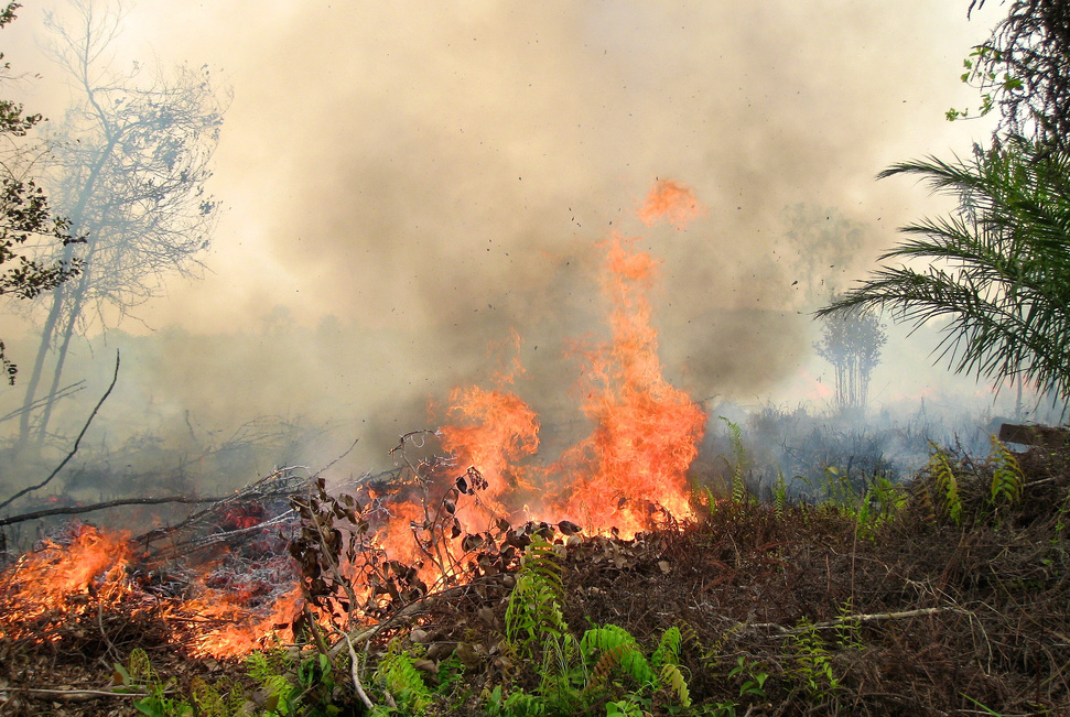 Indonesia Under Fire