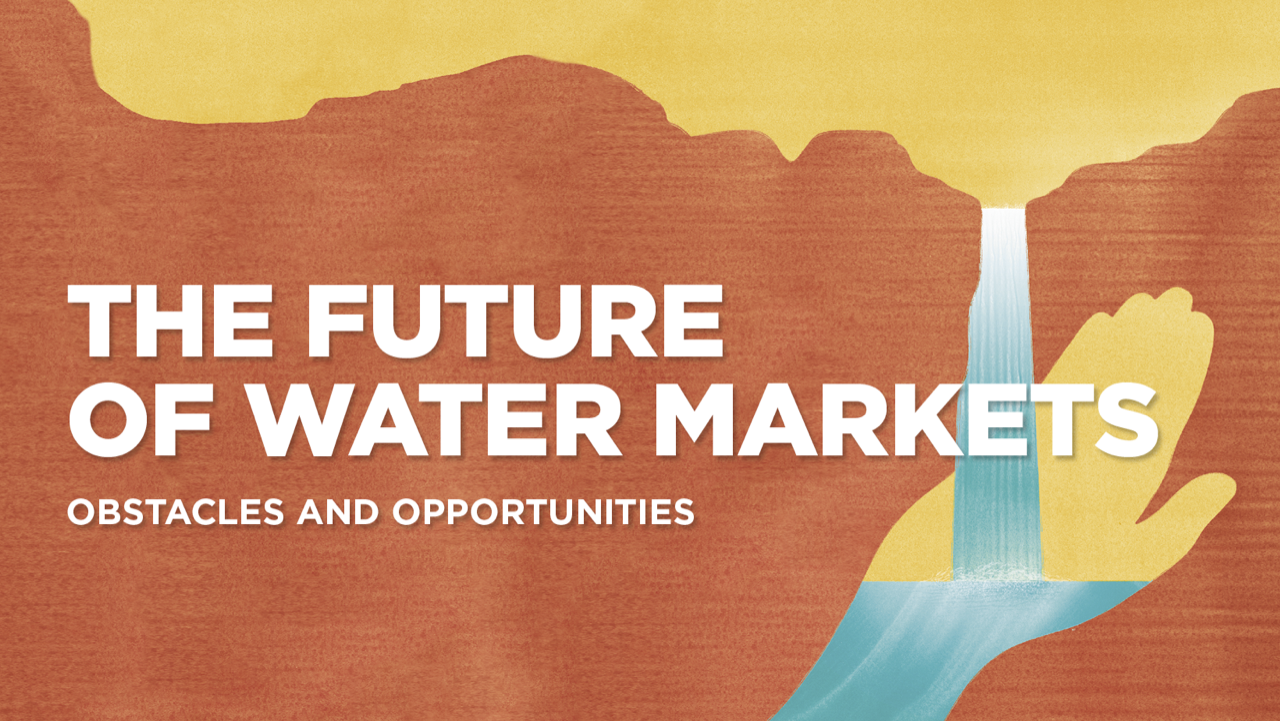 The Future of Water Markets