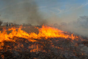 Prescribed burn school at the Samuel Roberts Noble Foundation