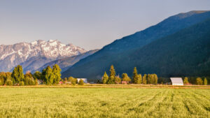 Farmland by Steve Olmsted