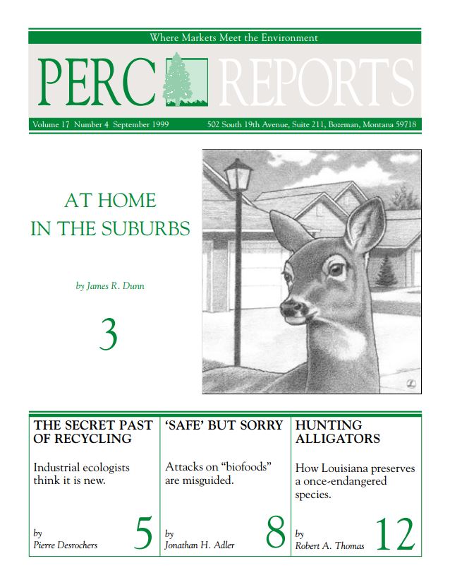 Cover Image - report-archive