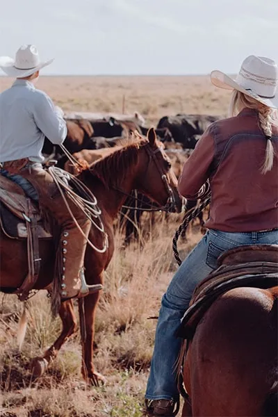 Two persons riding horses and driving cattle in the Western United States.