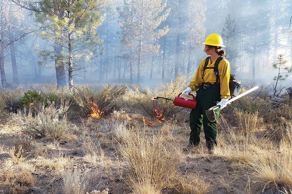 Firefighter looking back at a prescribed fire.