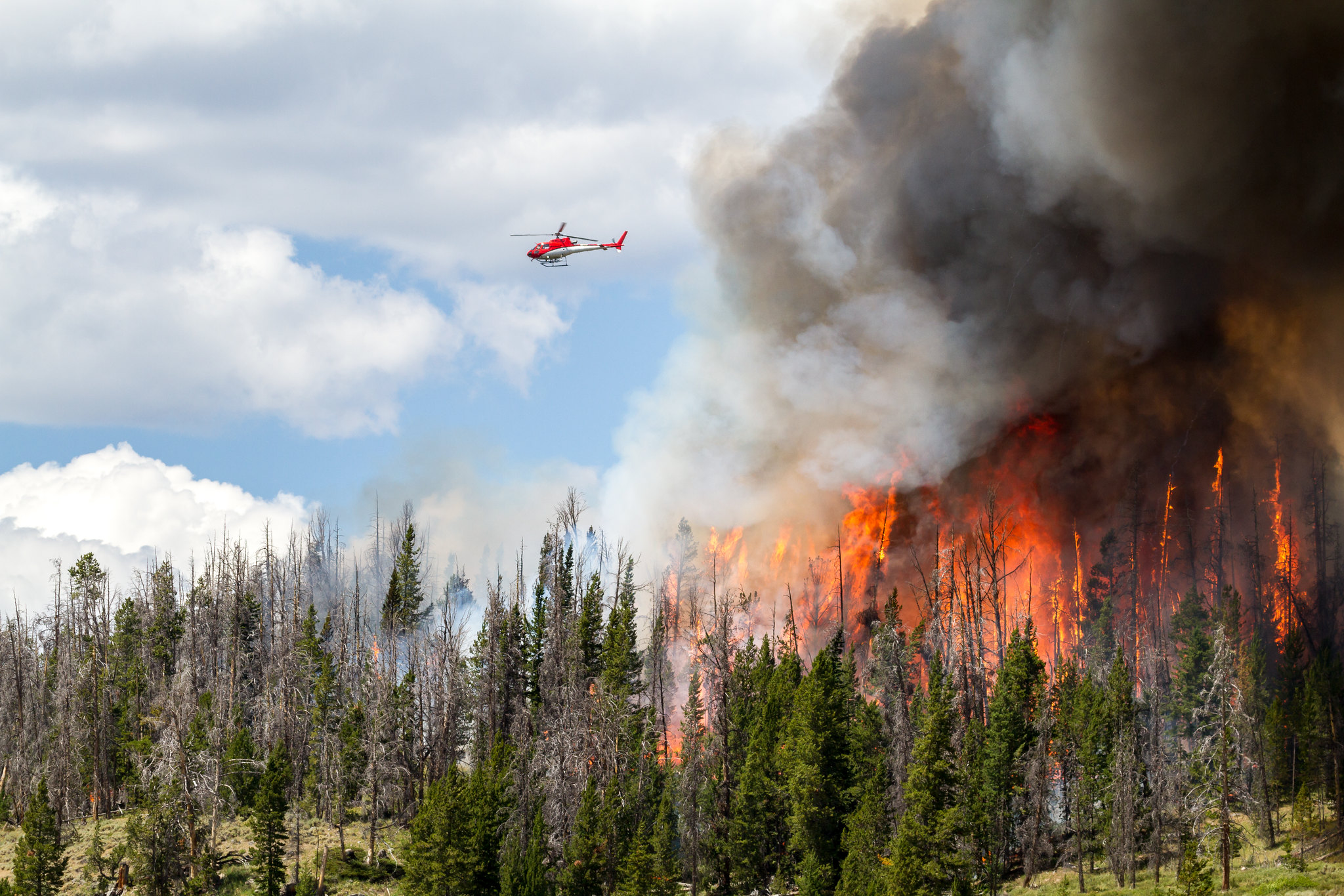 A wildfire in Wyoming