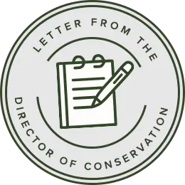 Icon badge from the director of conservation
