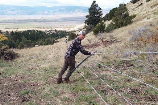A lone elk picture layered in a collage with a badge that says Elk Occupancy Agreement